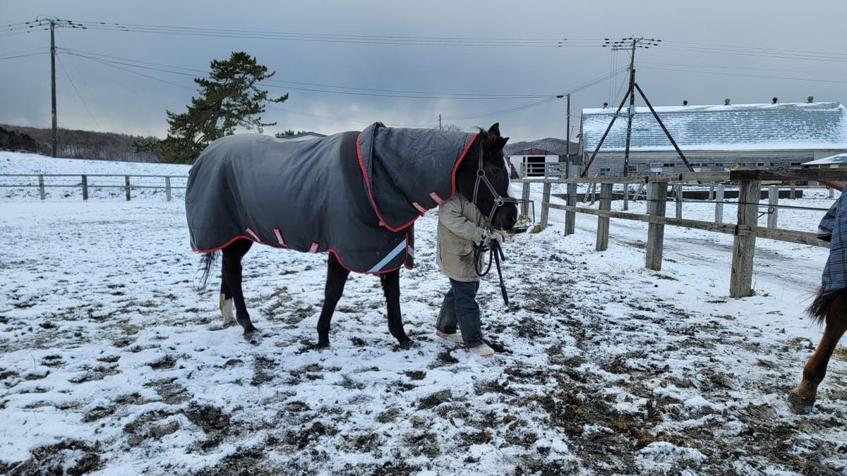 82c9cd8f2a878750a0408408c2296fc8-1765760970.jpg 82c9cd8f2a878750a0408408c2296fc8-1765760970.jpg